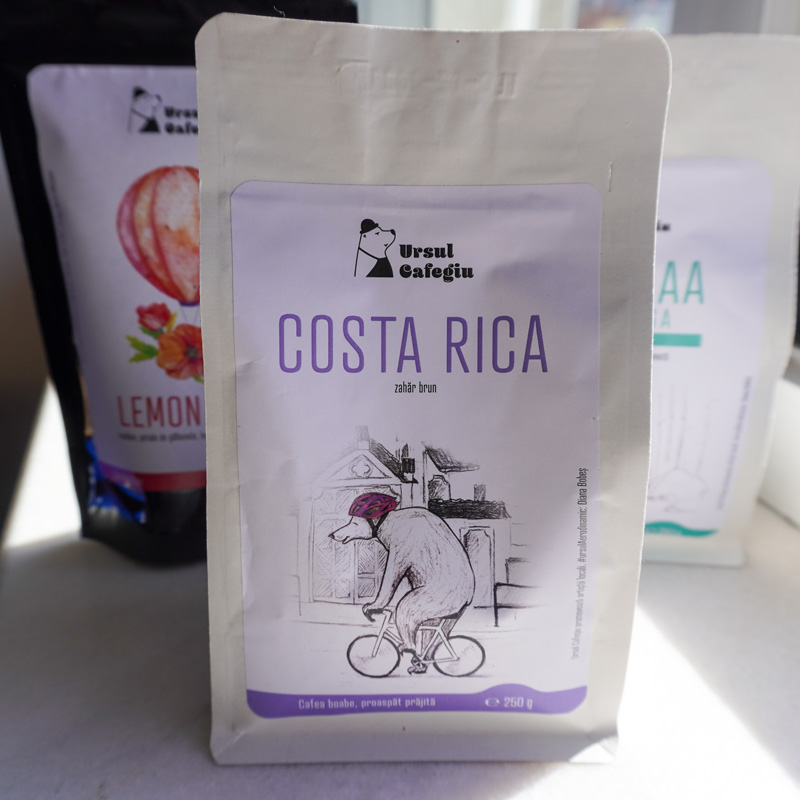 Ursul Cafegiu Costa Rica